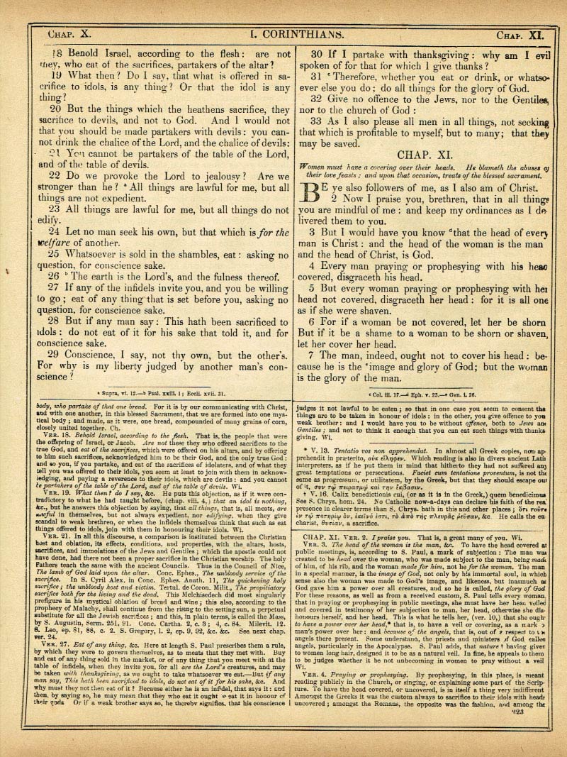 The Haydock Douay Rheims Bible page 1755