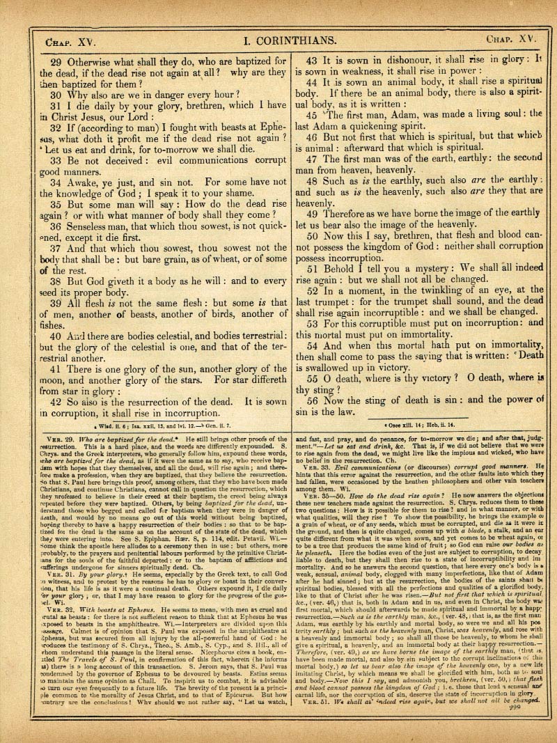 The Haydock Douay Rheims Bible page 1761