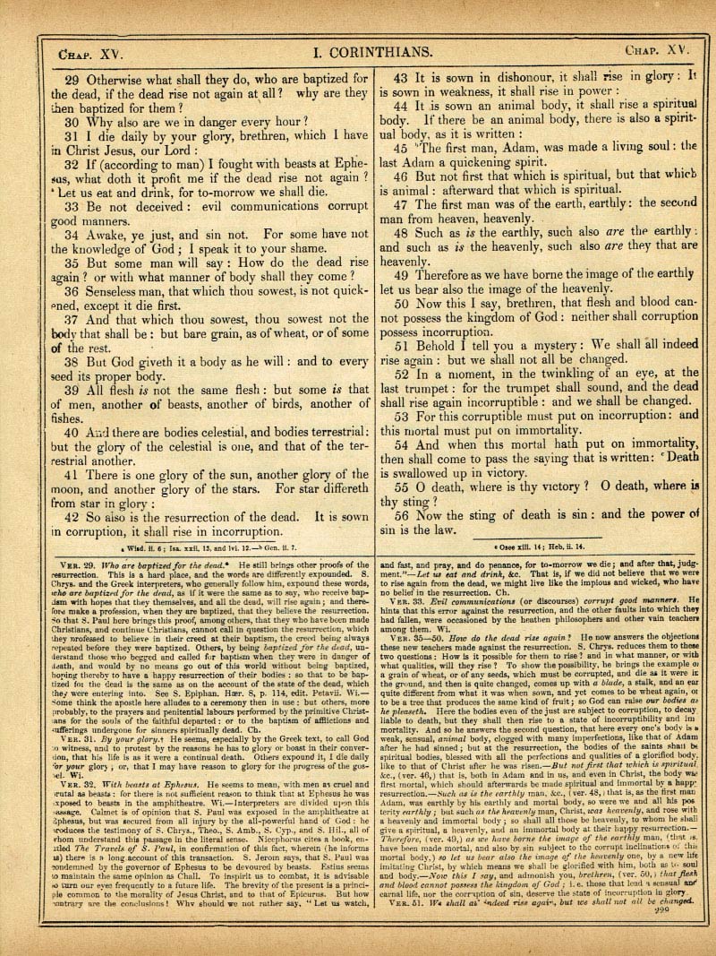 The Haydock Douay Rheims Bible page 0000