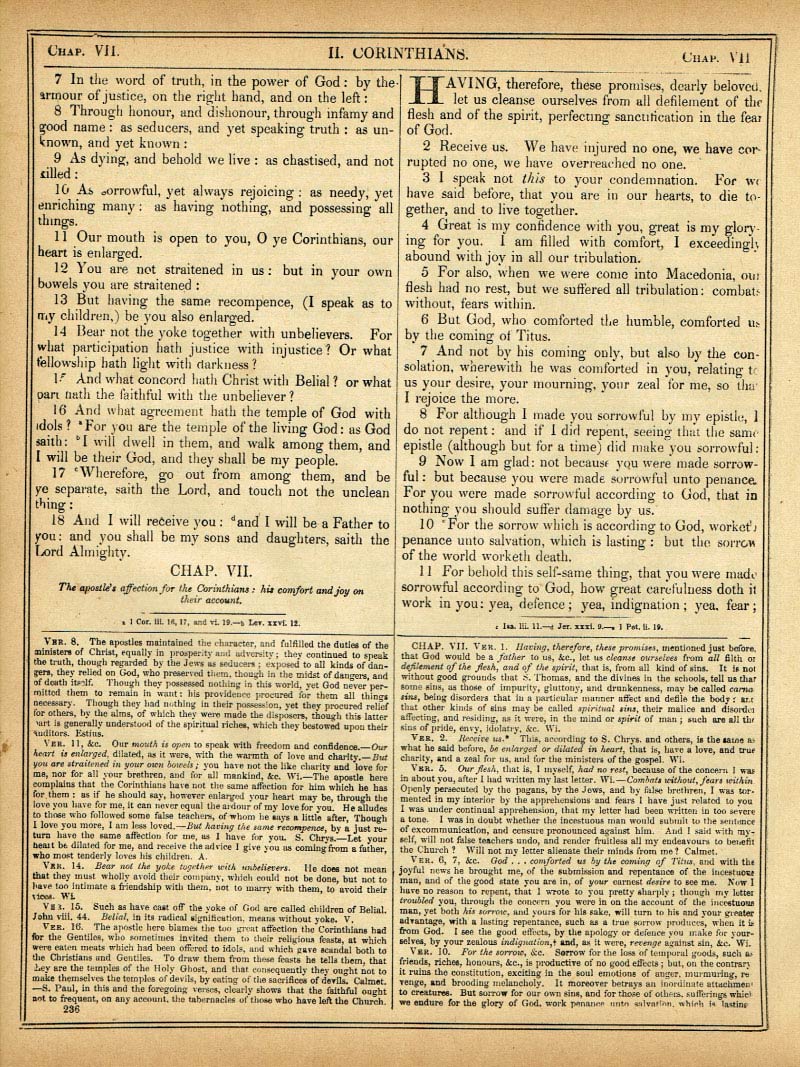 The Haydock Douay Rheims Bible page 1768