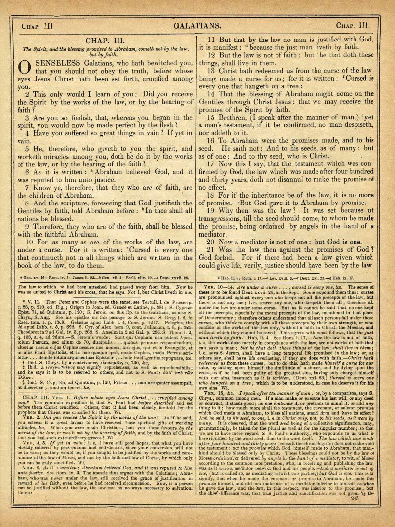 The Haydock Douay Rheims Bible page 1777