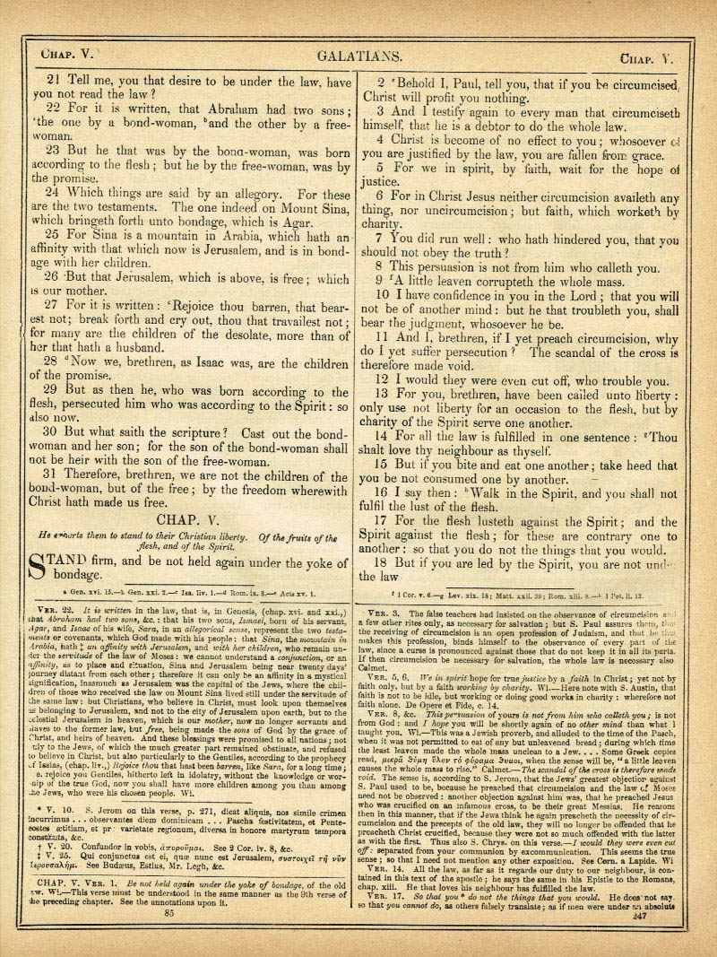 The Haydock Douay Rheims Bible page 1779