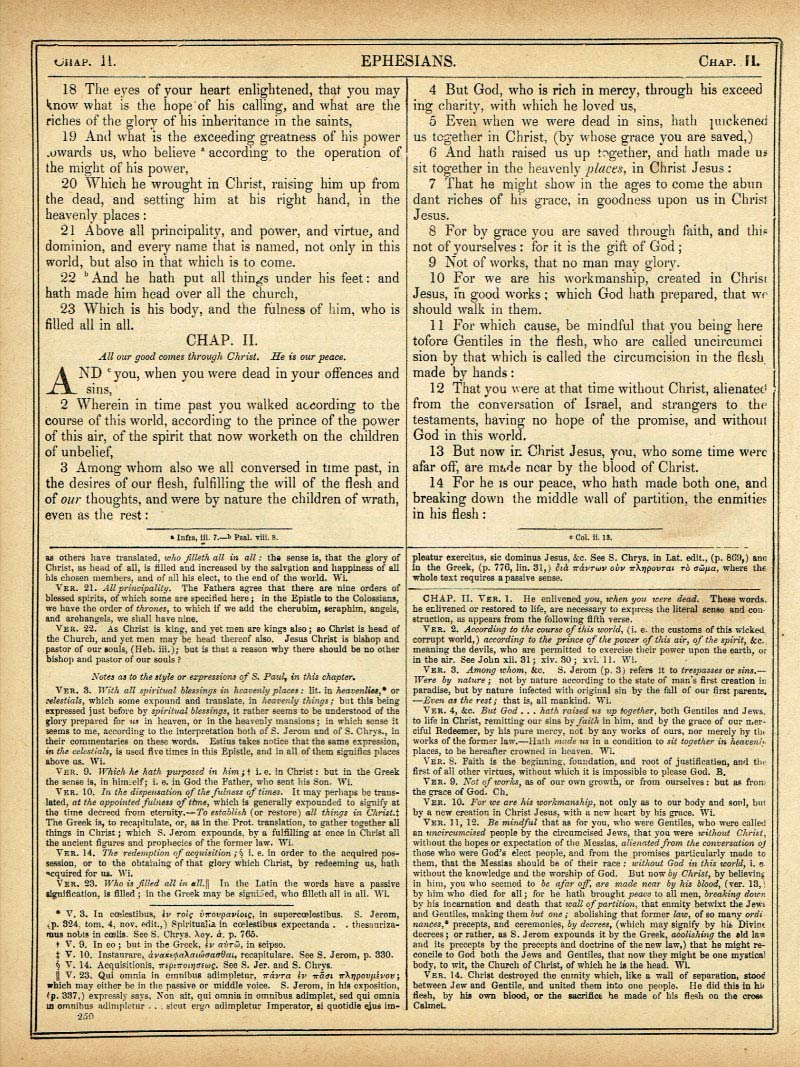 The Haydock Douay Rheims Bible page 1782