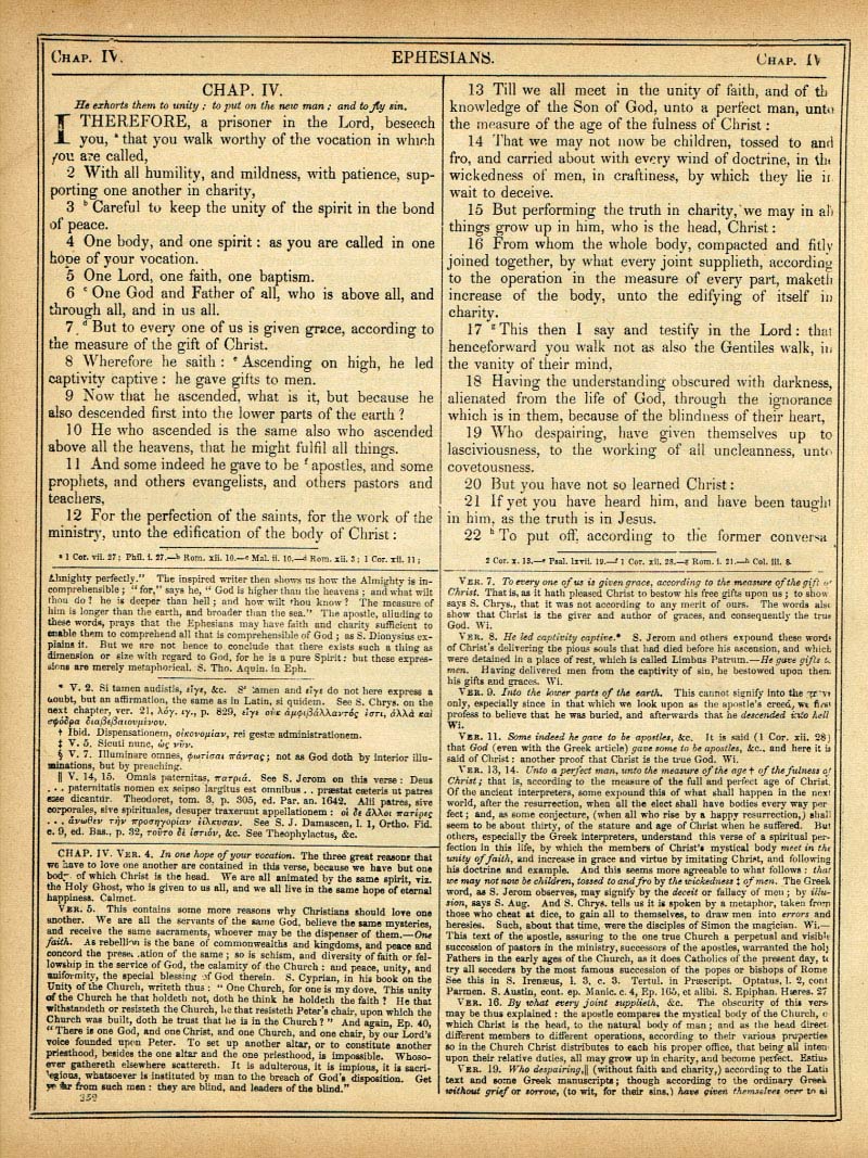 The Haydock Douay Rheims Bible page 1784