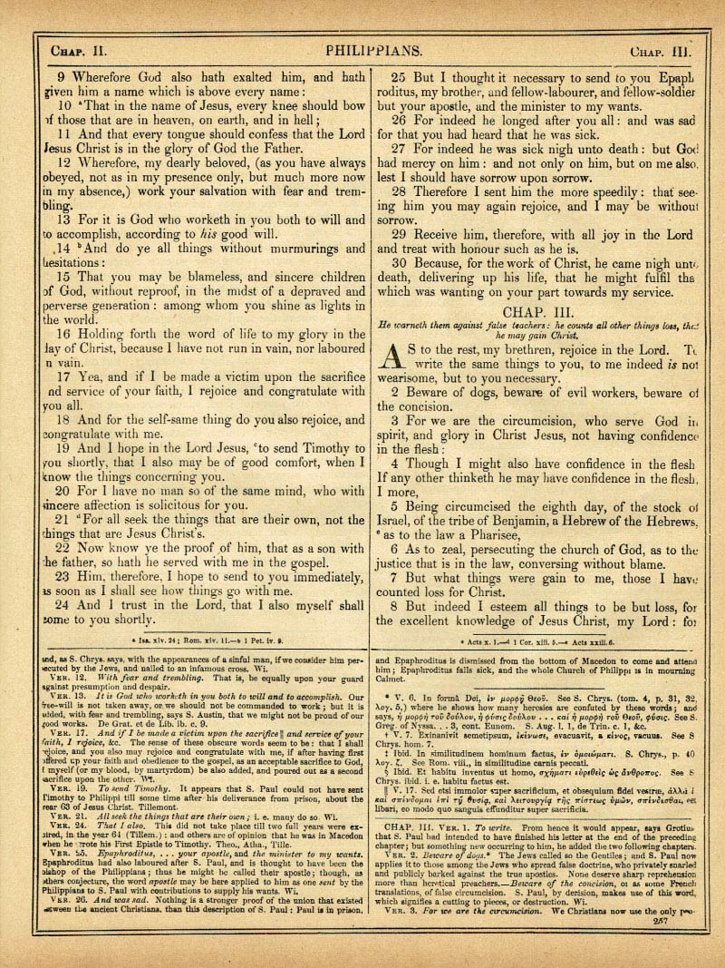 The Haydock Douay Rheims Bible page 1789
