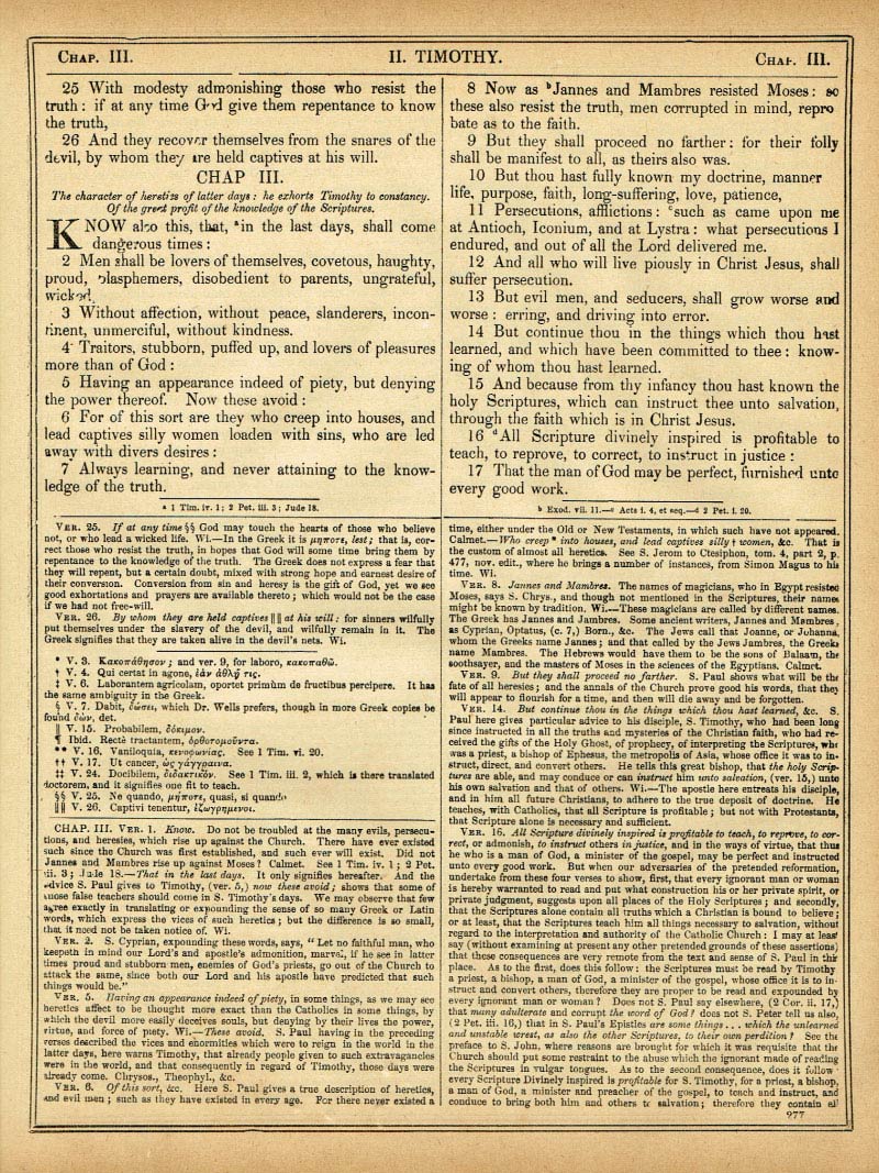 The Haydock Douay Rheims Bible page 1809