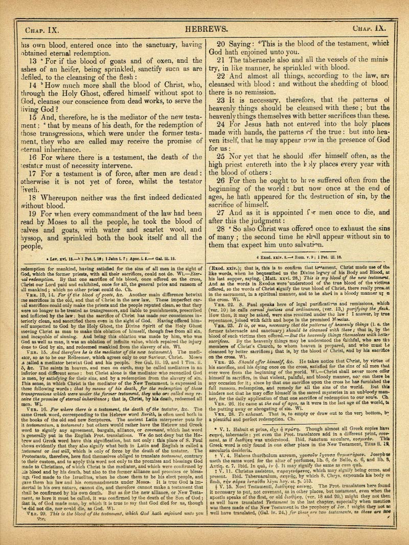 The Haydock Douay Rheims Bible page 1824