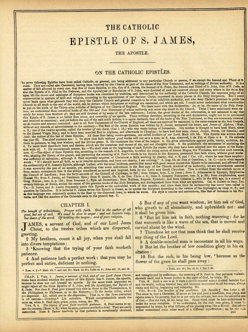 The Haydock Douay Rheims Bible page 1831