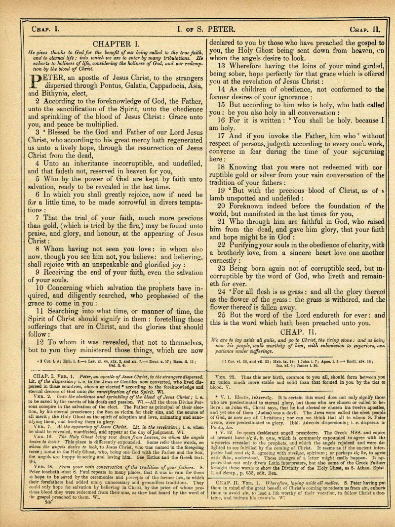 The Haydock Douay Rheims Bible page 1838