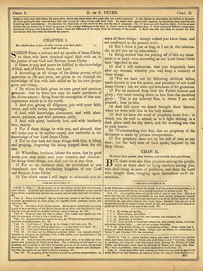 The Haydock Douay Rheims Bible page 1843