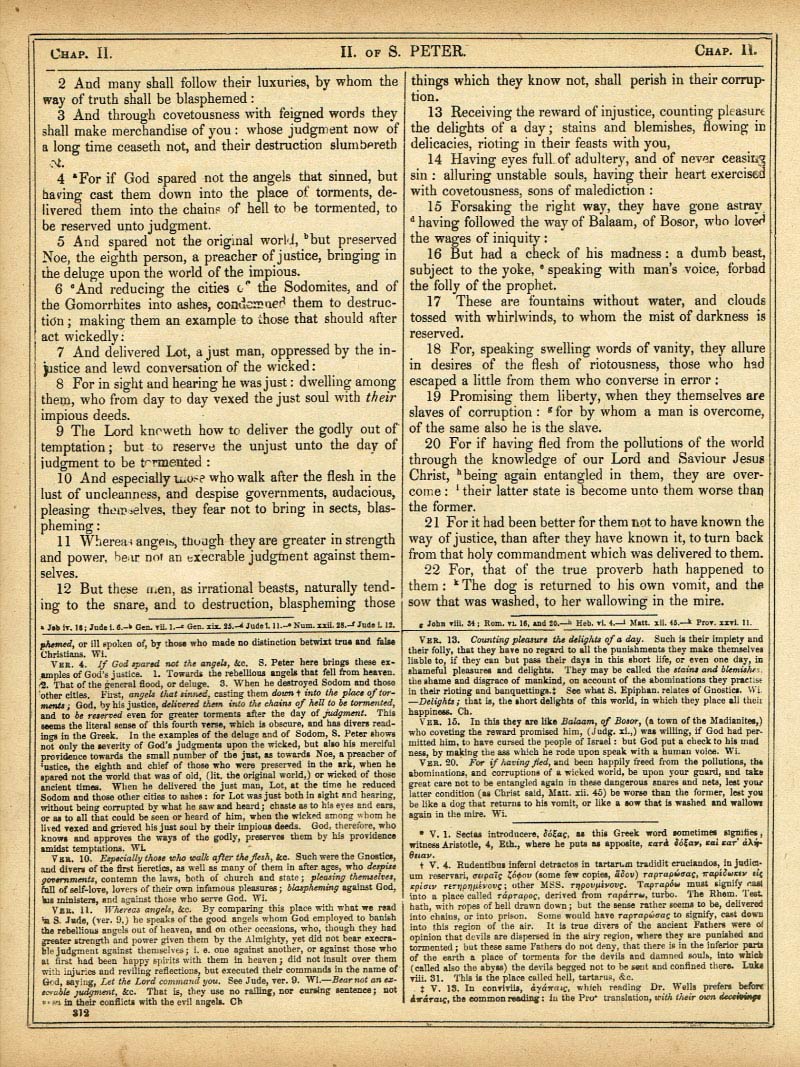 The Haydock Douay Rheims Bible page 1844