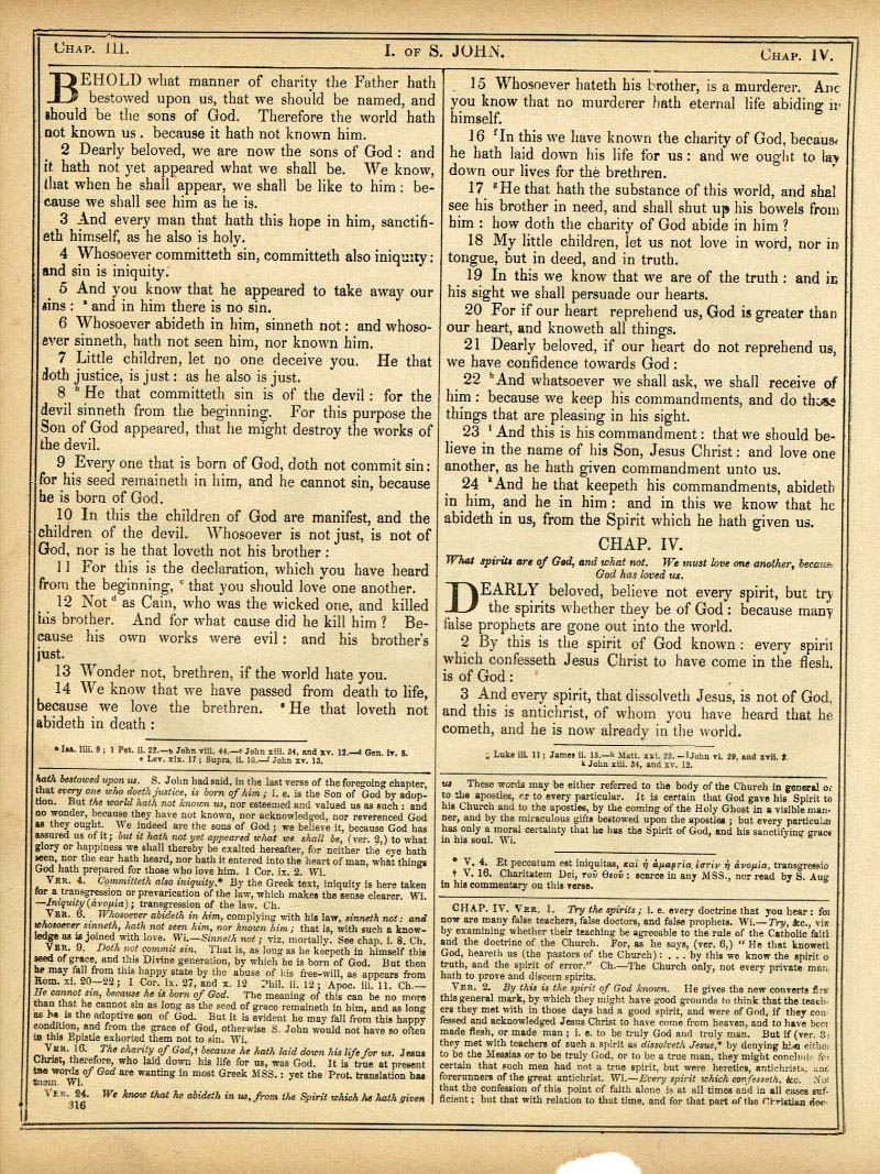 The Haydock Douay Rheims Bible page 1848