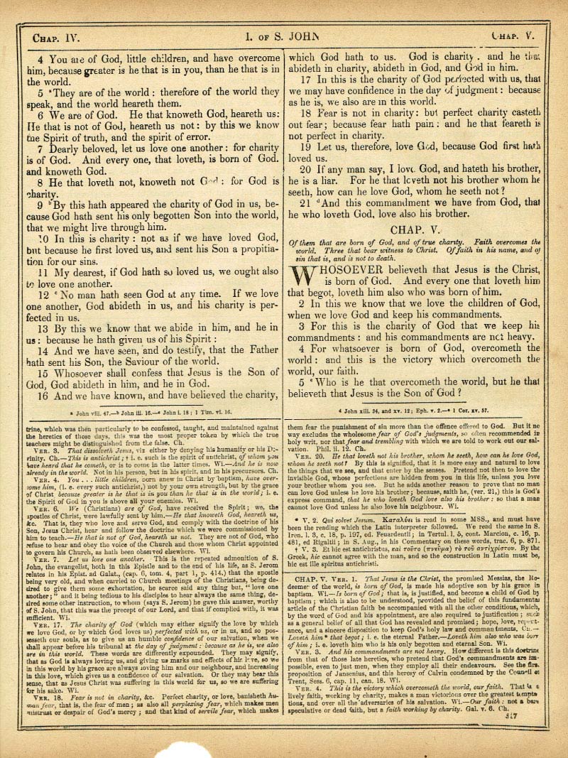 The Haydock Douay Rheims Bible page 1849