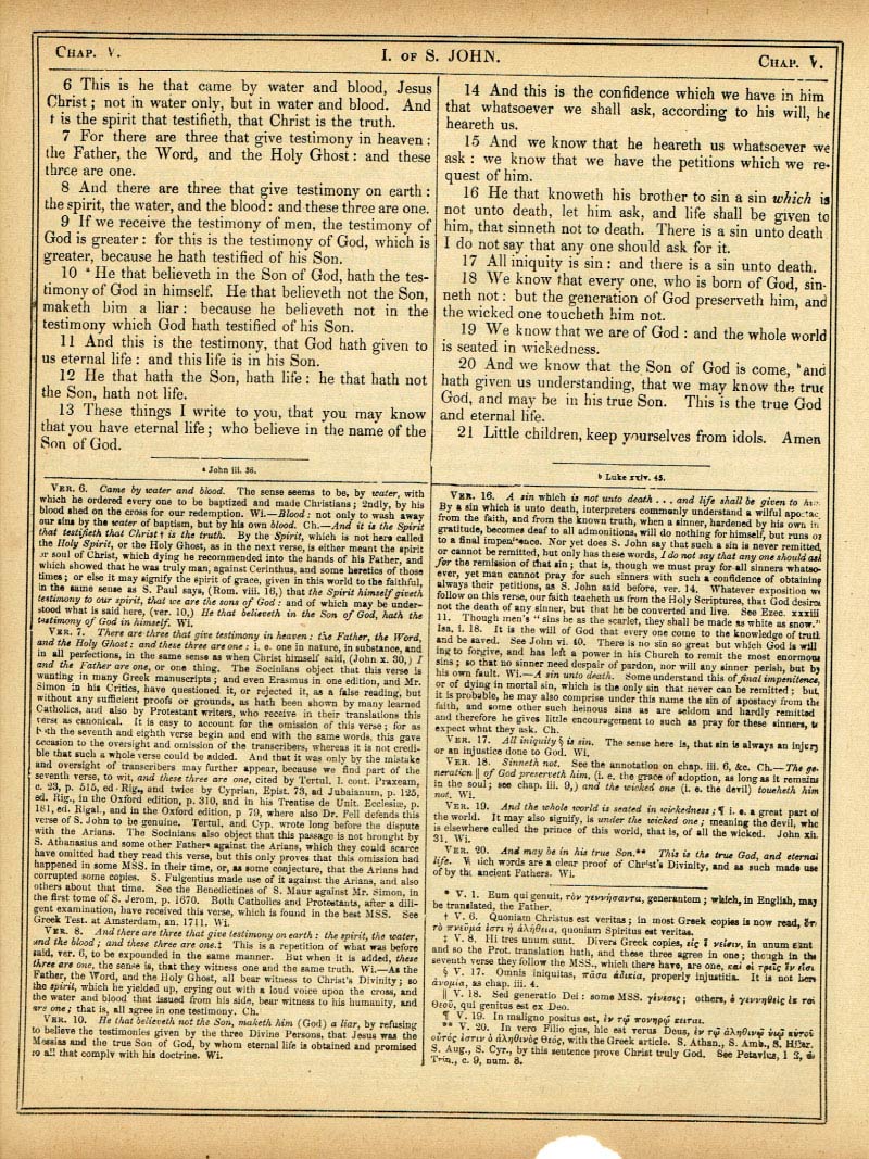The Haydock Douay Rheims Bible page 1850