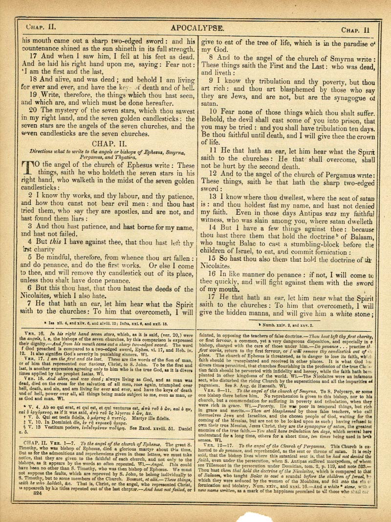 The Haydock Douay Rheims Bible page 1856