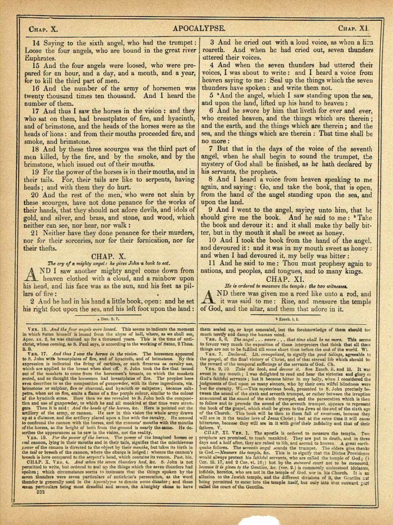 The Haydock Douay Rheims Bible page 1864