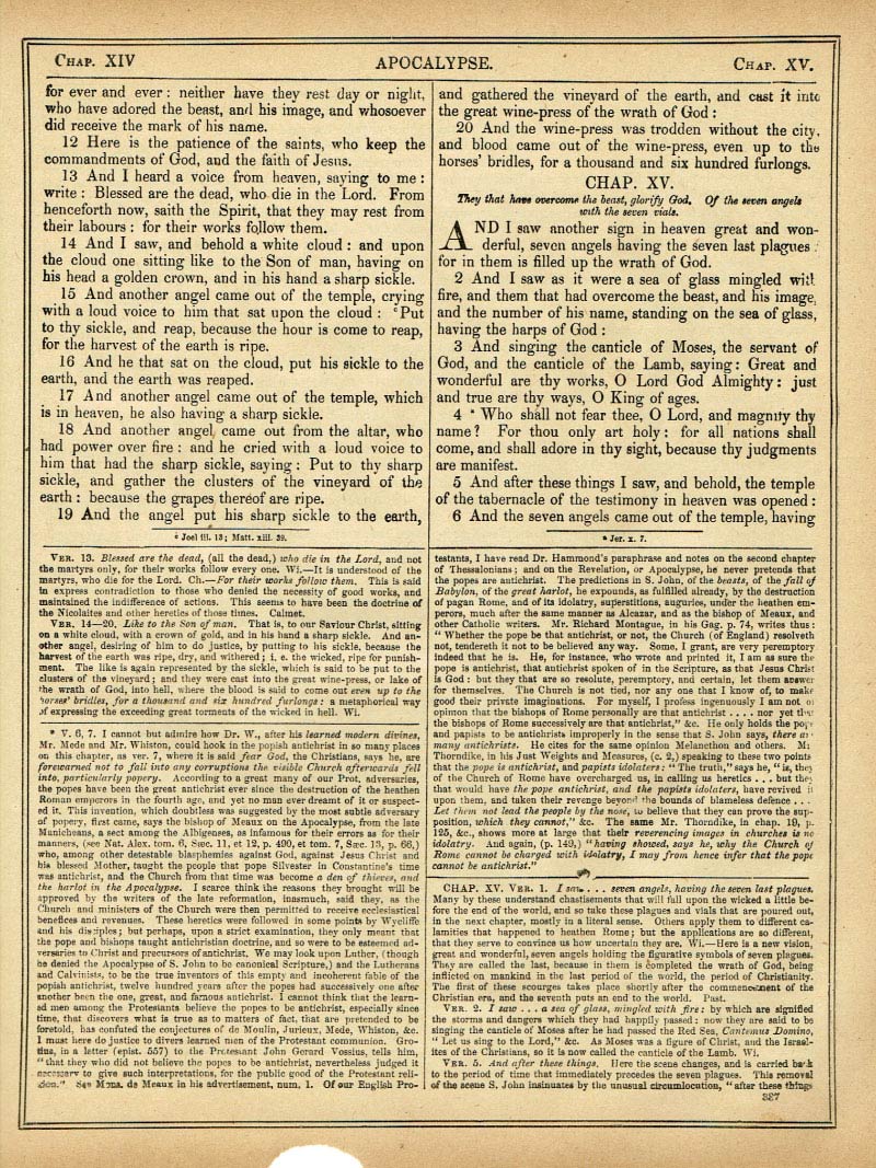 The Haydock Douay Rheims Bible page 1869