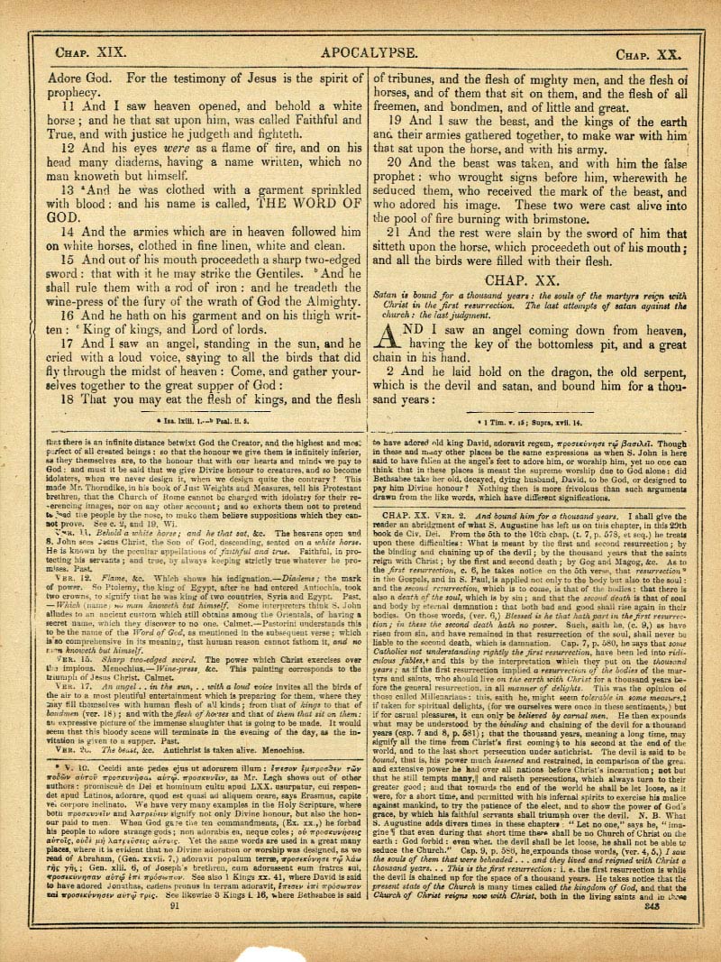 The Haydock Douay Rheims Bible page 1875