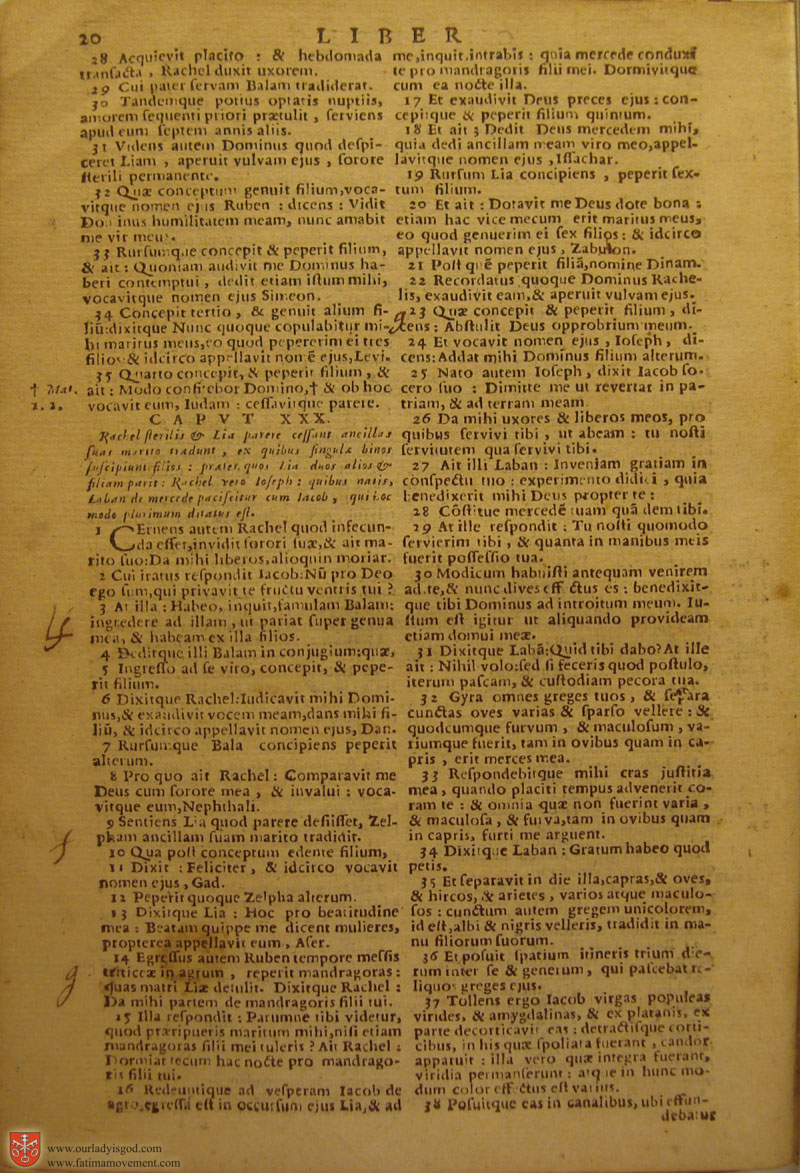 Catholic Latin Vulgate Bible page 0035
