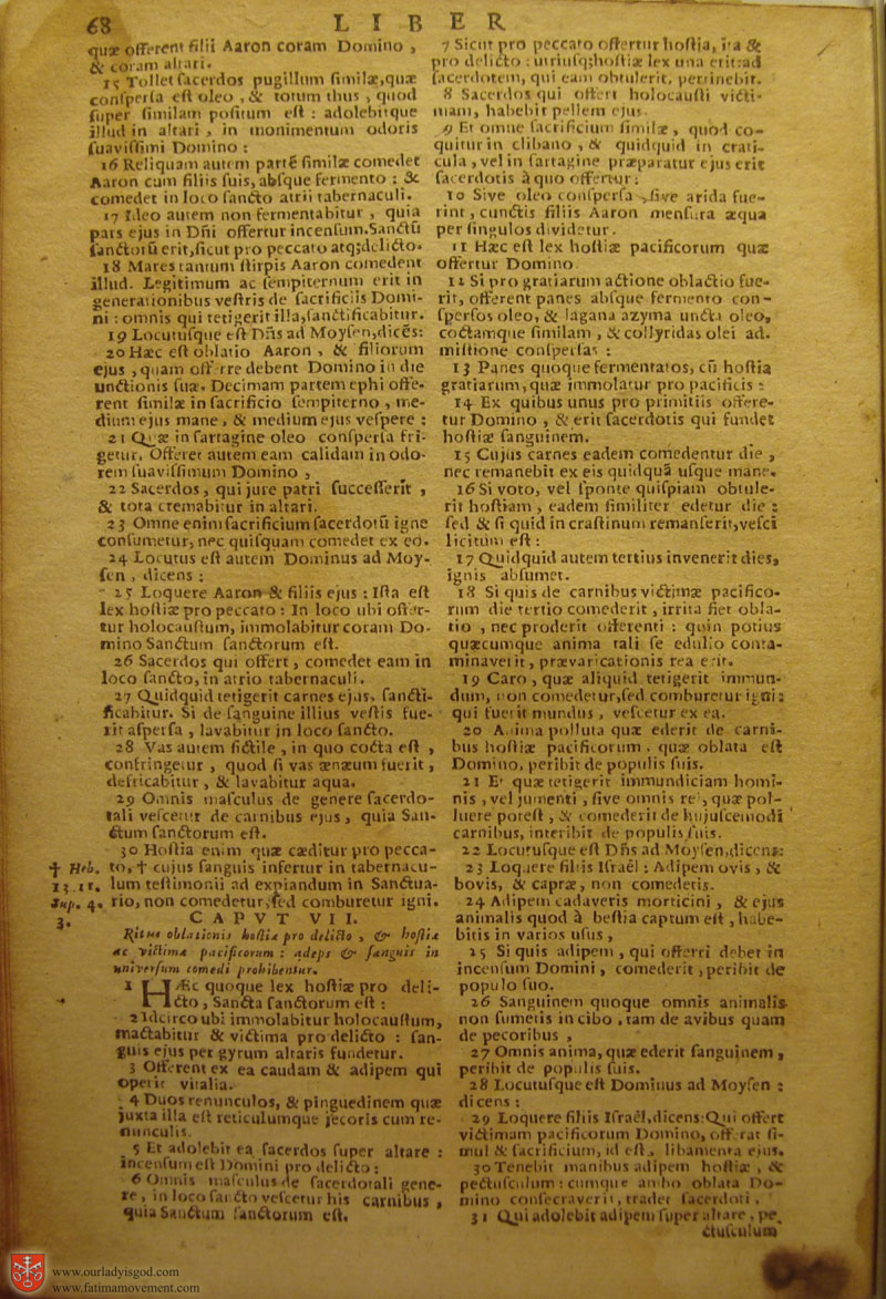 Catholic Latin Vulgate Bible page 0083