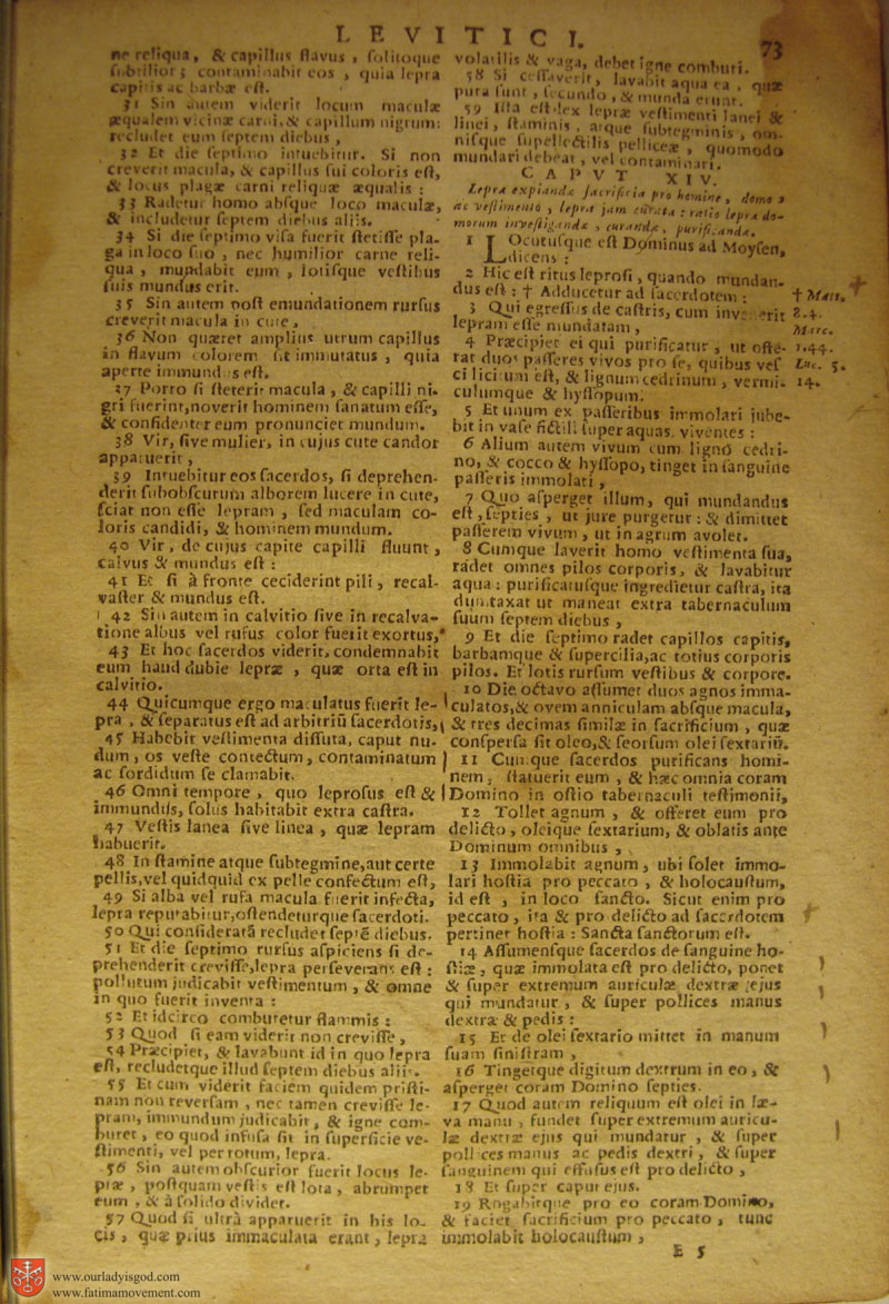 Catholic Latin Vulgate Bible page 0088