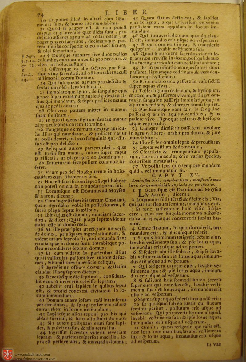 Catholic Latin Vulgate Bible page 0089