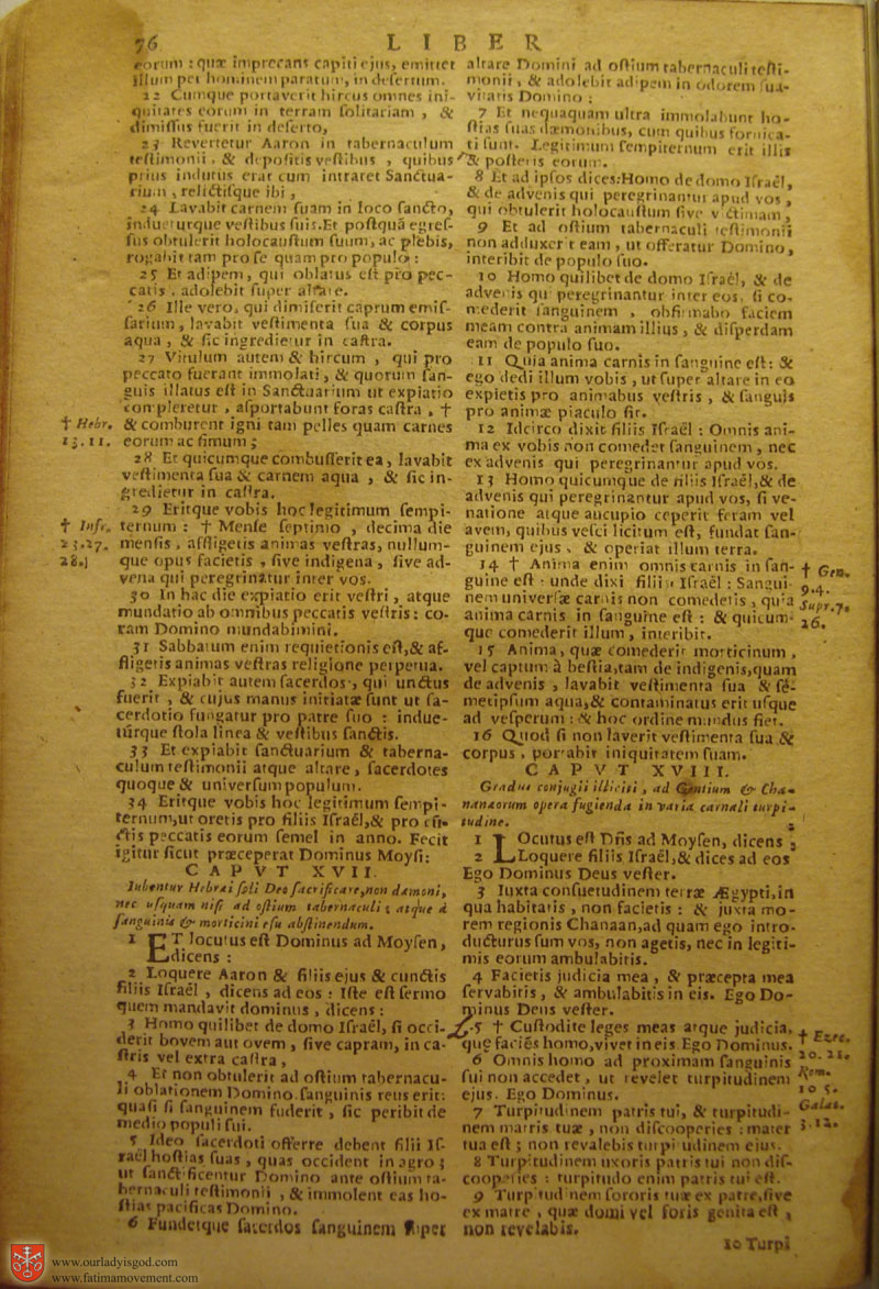Catholic Latin Vulgate Bible page 0091