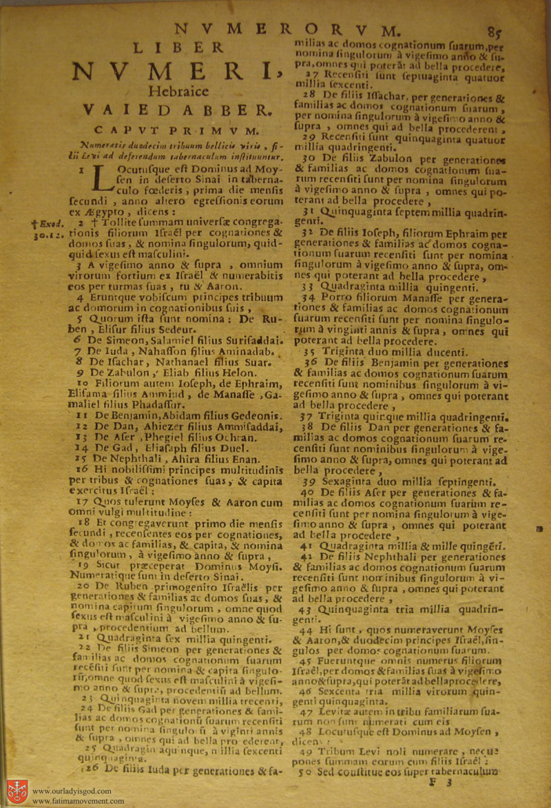Catholic Latin Vulgate Bible page 0100