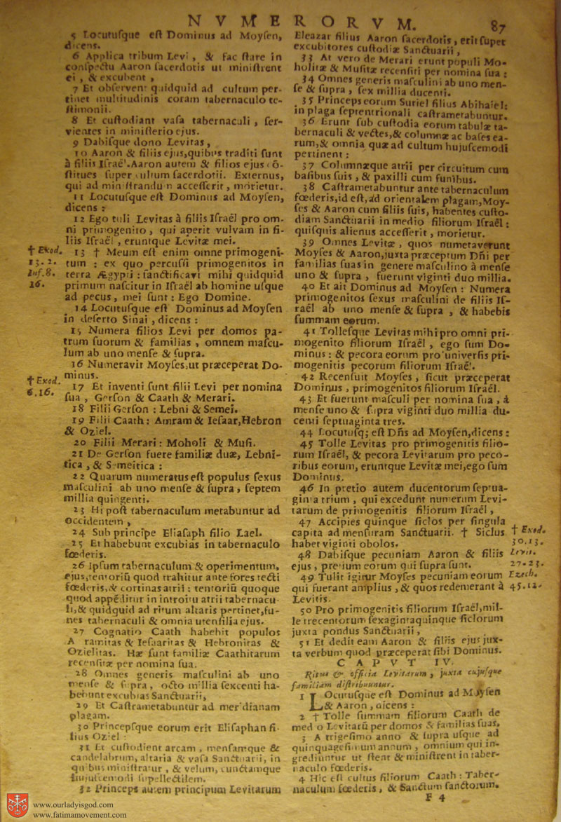 Catholic Latin Vulgate Bible page 0102