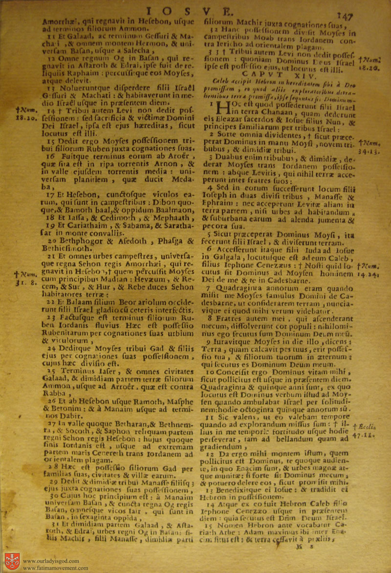 Catholic Latin Vulgate Bible page 0162