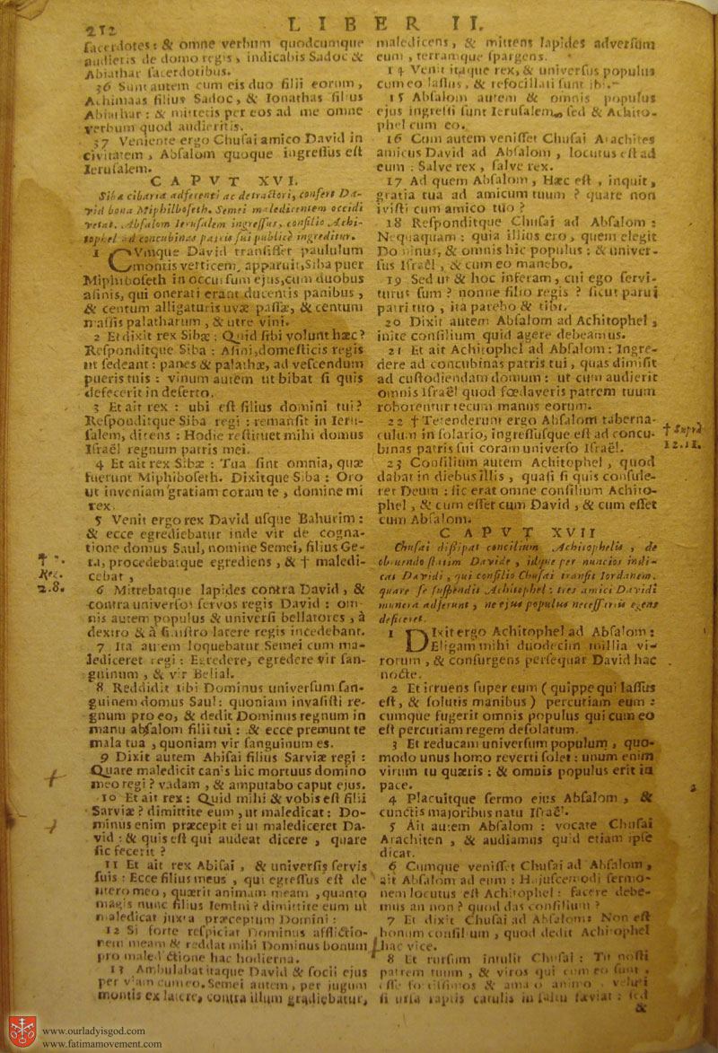 Catholic Latin Vulgate Bible page 0227