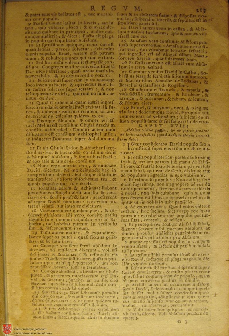 Catholic Latin Vulgate Bible page 0228