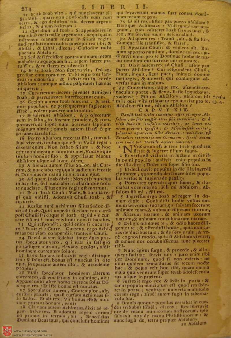 Catholic Latin Vulgate Bible page 0229