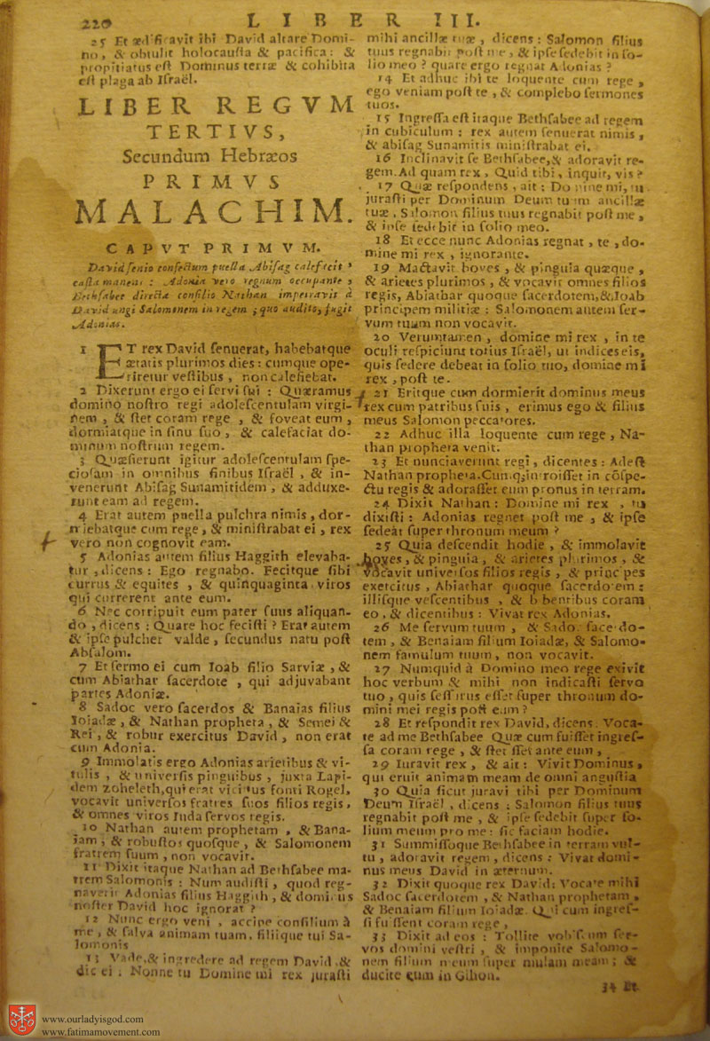 Catholic Latin Vulgate Bible page 0235