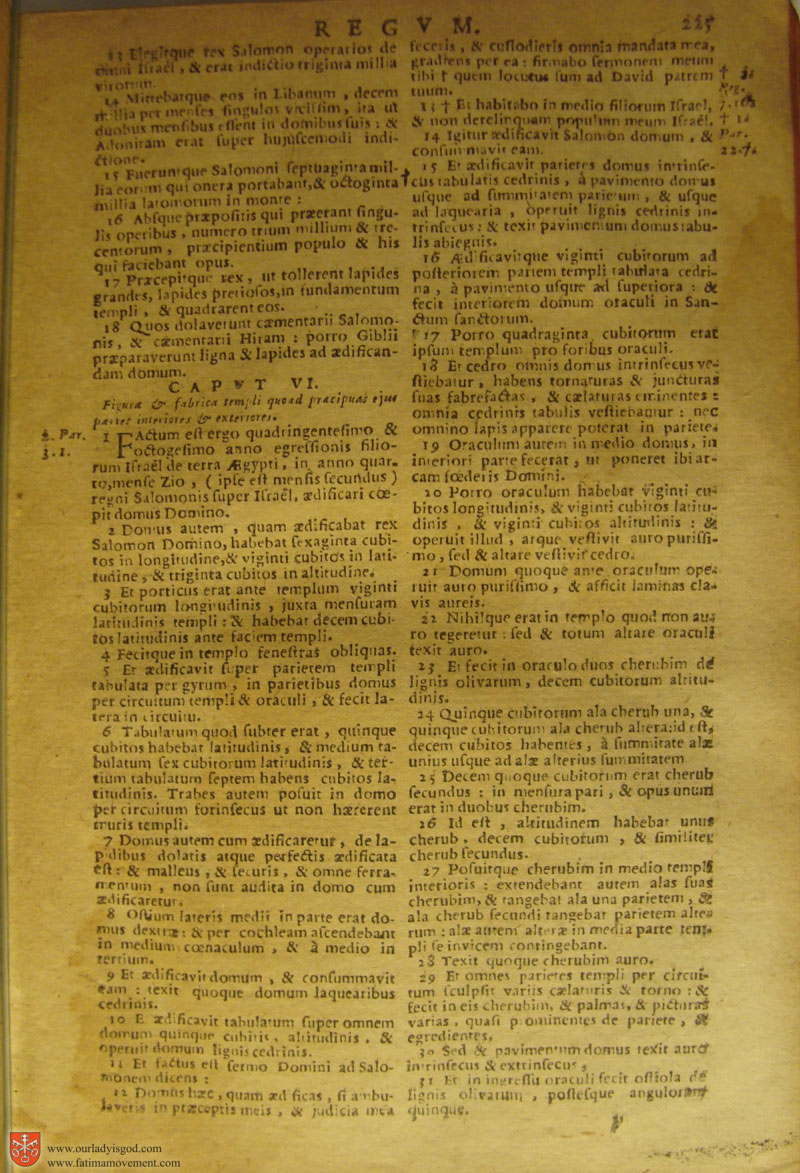 Catholic Latin Vulgate Bible page 0240