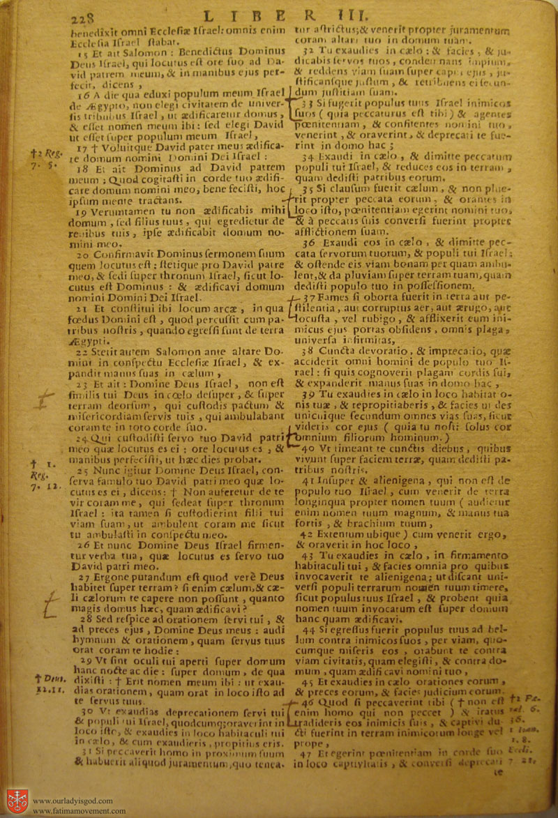 Catholic Latin Vulgate Bible page 0243