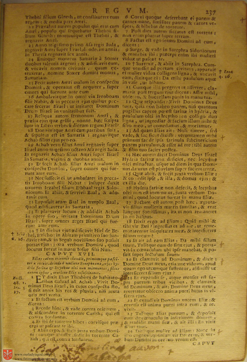 Catholic Latin Vulgate Bible page 0252
