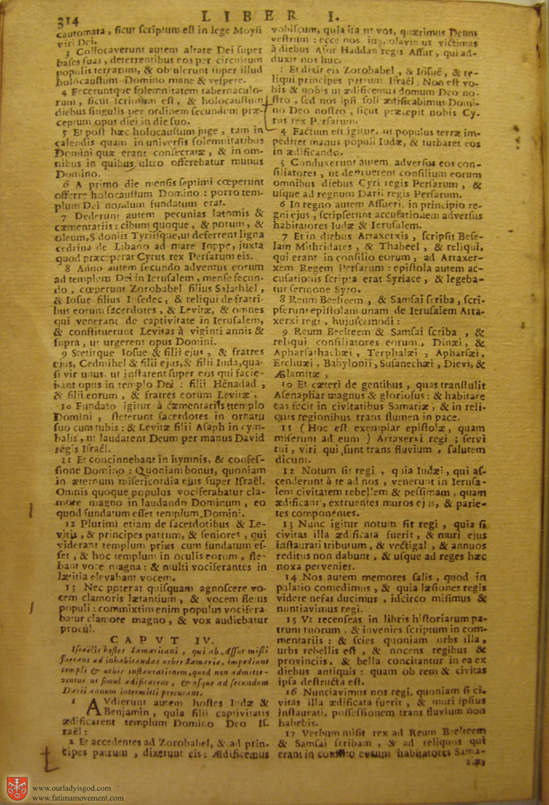 Catholic Latin Vulgate Bible page 0329