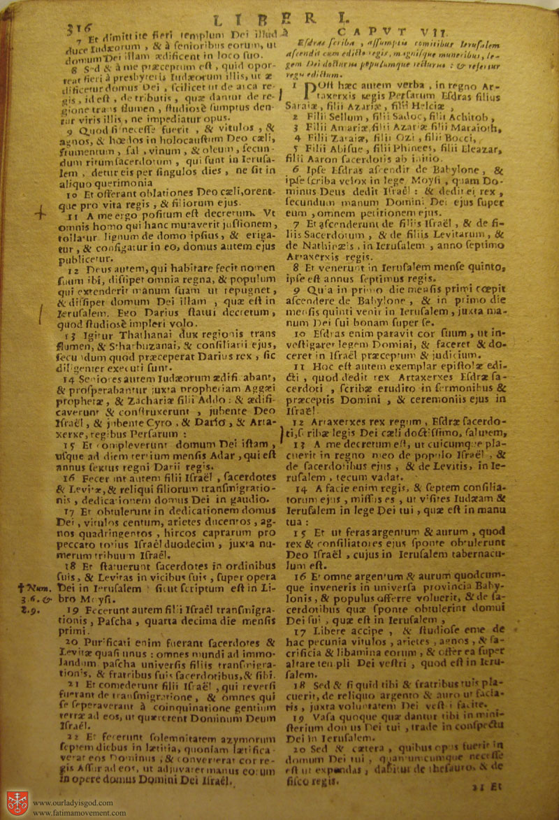 Catholic Latin Vulgate Bible page 0331