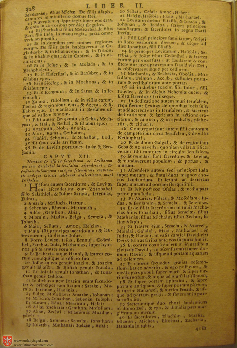 Catholic Latin Vulgate Bible page 0343