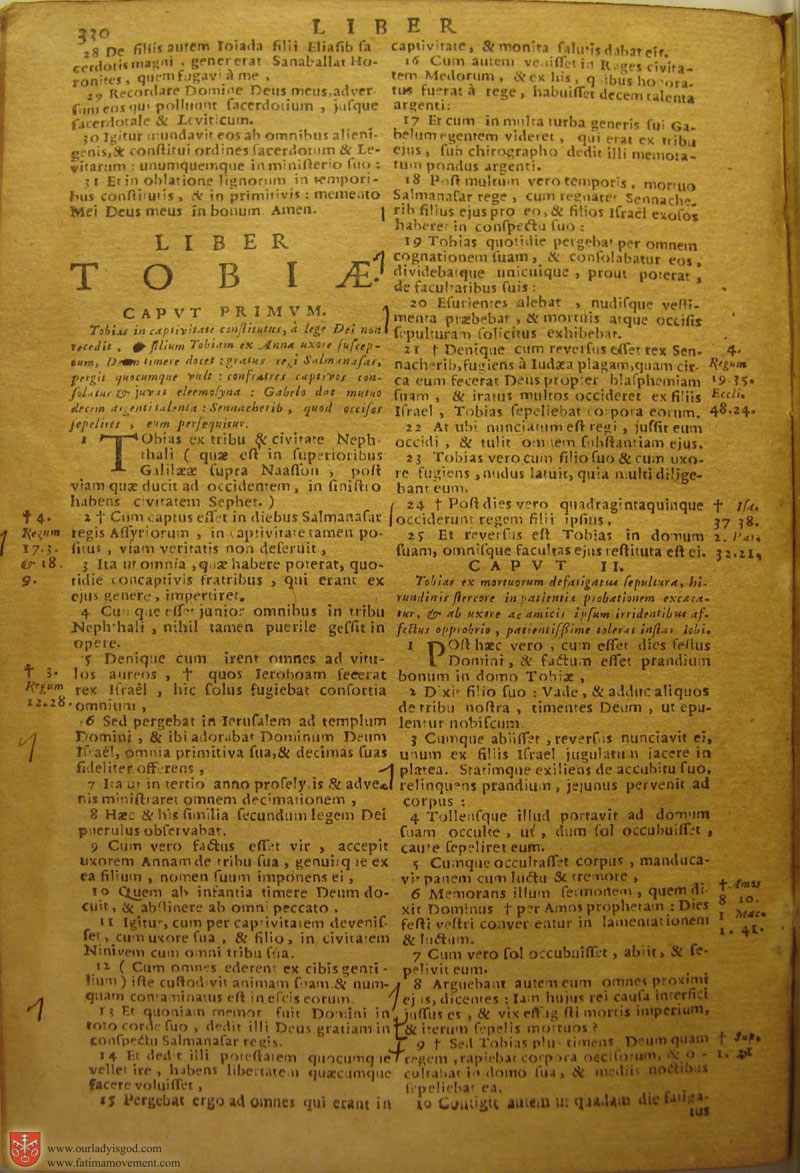 Catholic Latin Vulgate Bible page 0345