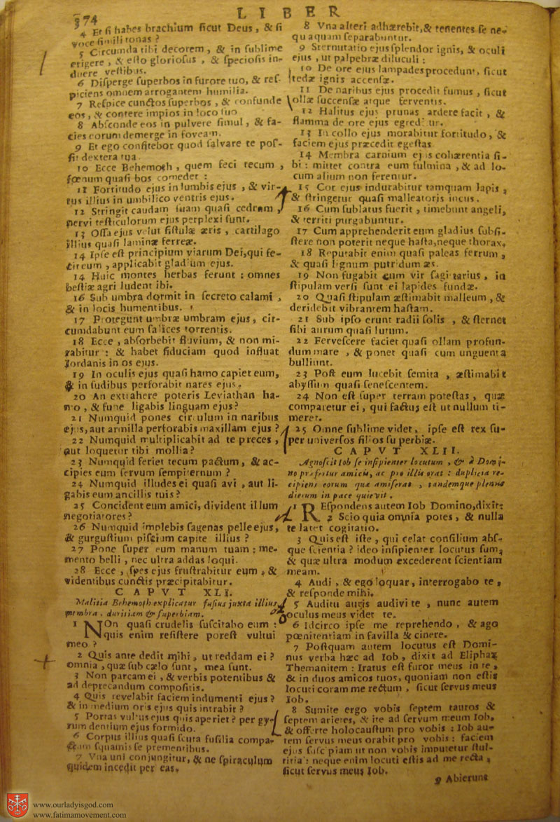 Catholic Latin Vulgate Bible page 0389