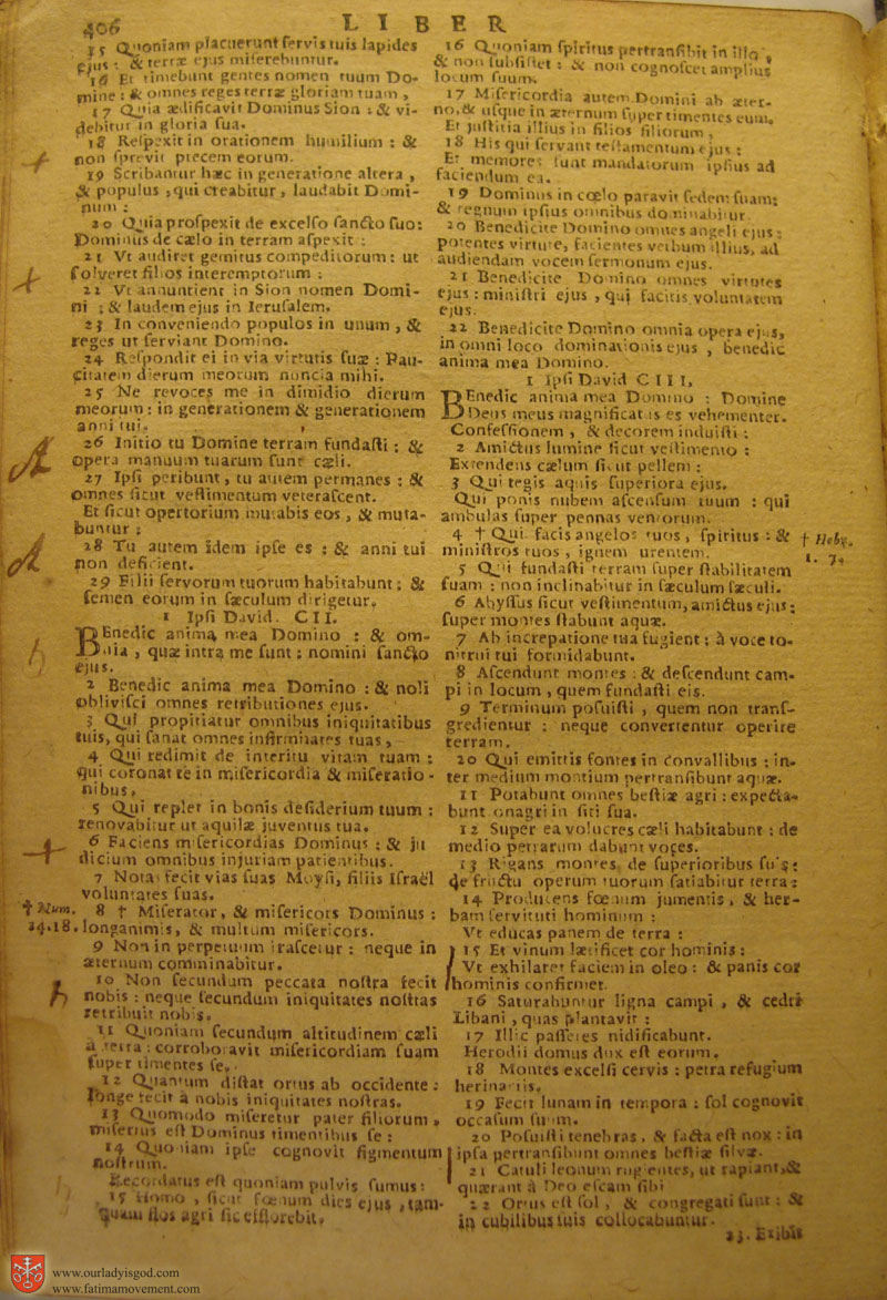 Catholic Latin Vulgate Bible page 0421