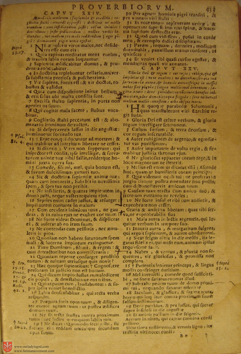 Catholic Latin Vulgate Bible page 0448