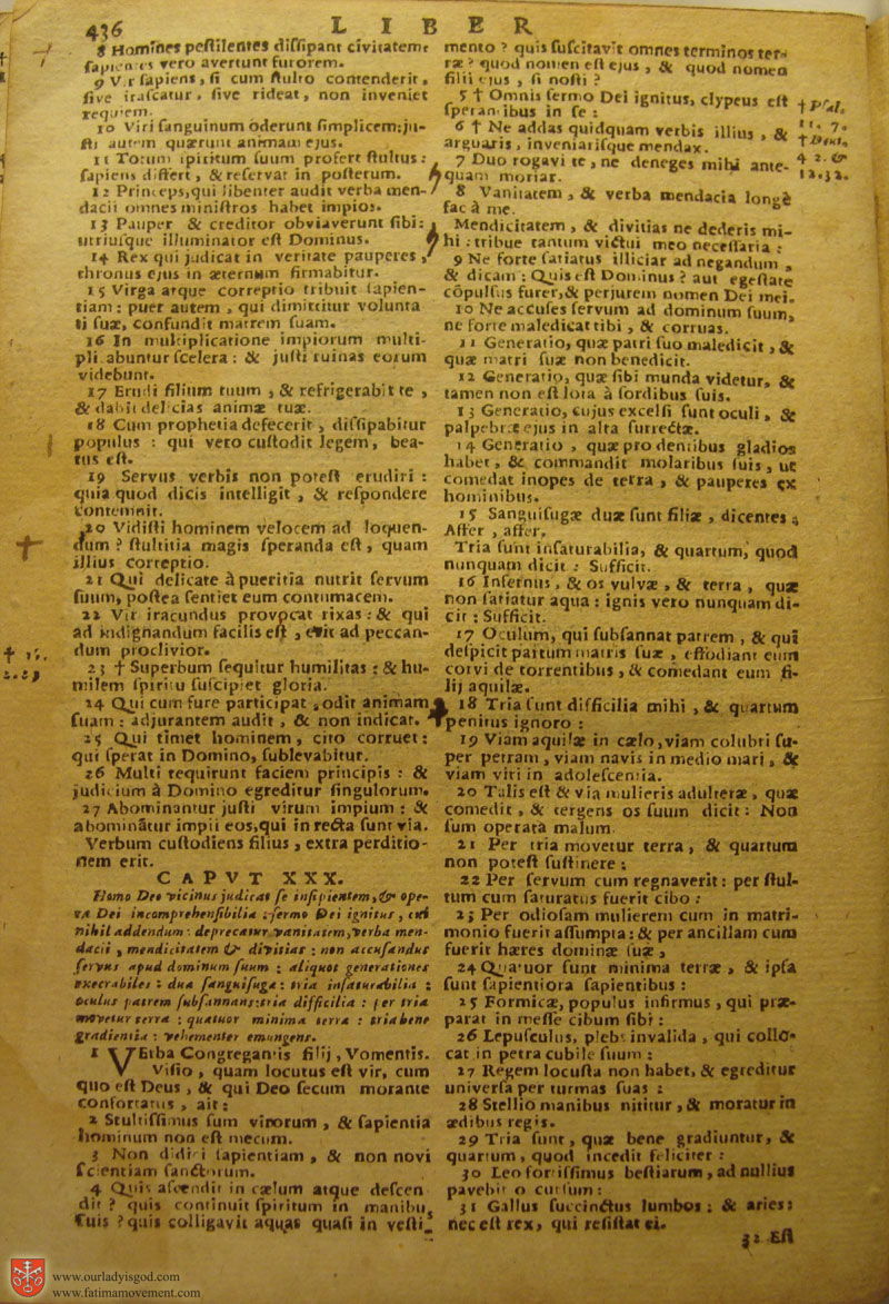 Catholic Latin Vulgate Bible page 0451