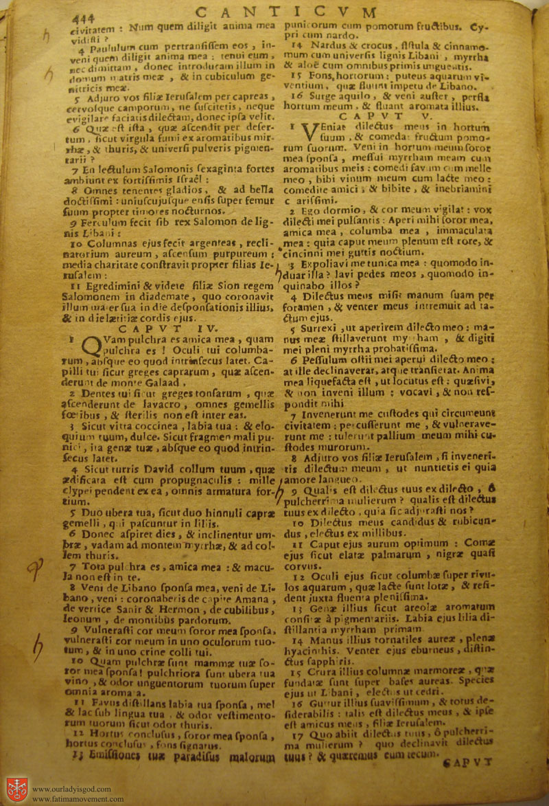 Catholic Latin Vulgate Bible page 0459