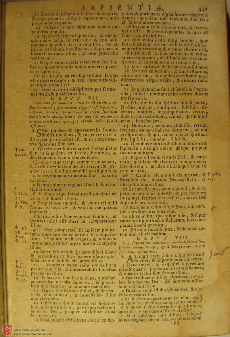 Catholic Latin Vulgate Bible page 0464