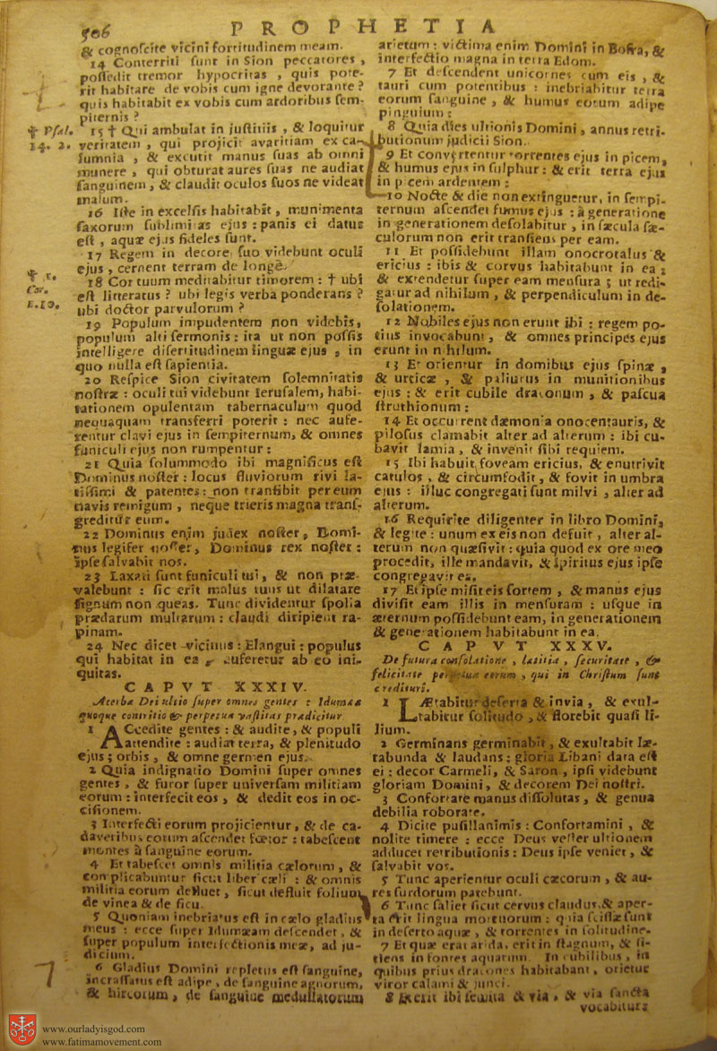 Catholic Latin Vulgate Bible page 0521
