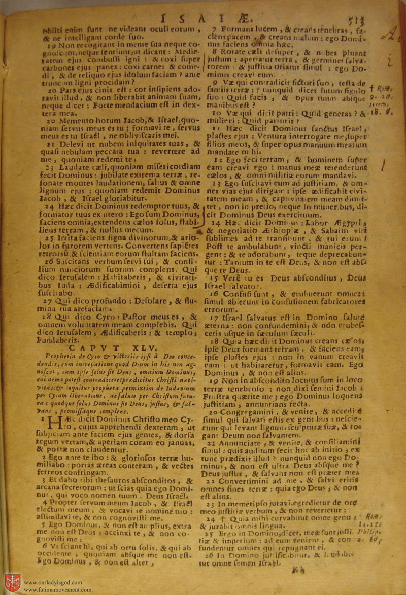 Catholic Latin Vulgate Bible page 0528