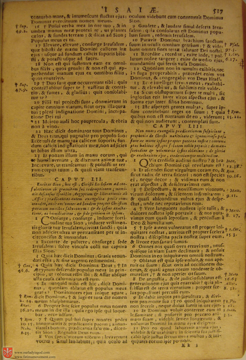 Catholic Latin Vulgate Bible page 0532